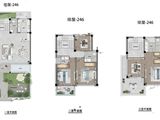 乾樾名邸_5室2厅4卫 建面246平米